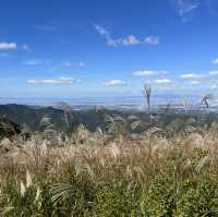 【岩湧山でススキ三昧】 🌾　大阪