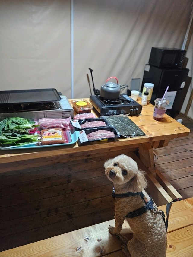 시메르 리조트에서 여유로운 호캉스와 프라이빗 바베큐를 즐겨보세요!