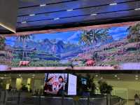 Magnificent Jakarta - Bandung