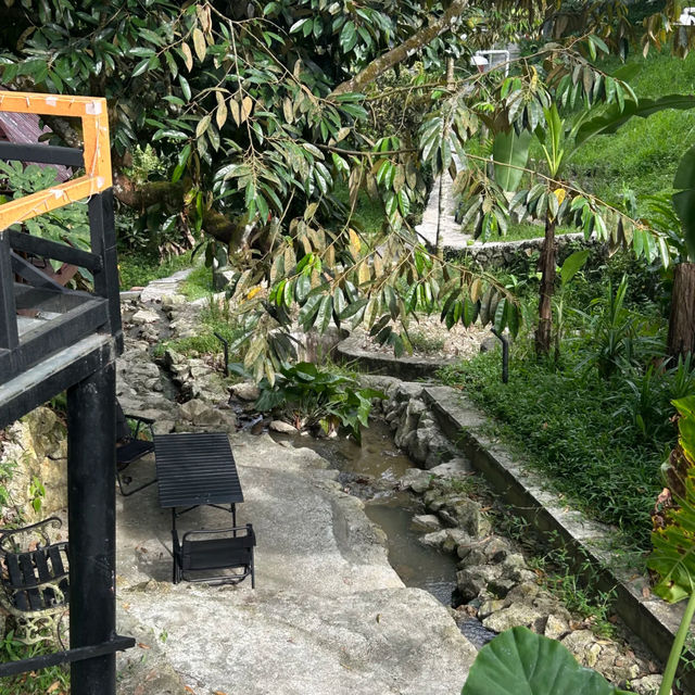🌿 Escape Into Nature – Without Leaving KL!