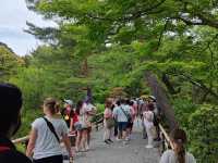 京都 北山鹿苑寺(金閣寺)