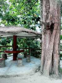 “Sipping Fresh Coconut by the Batak Museum Cafe”