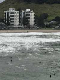 Surfer harbour in NZ!