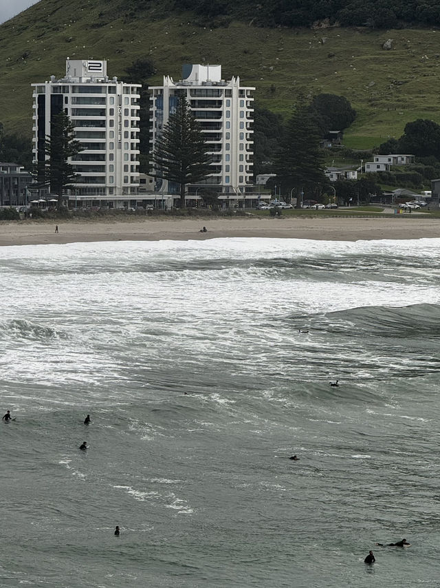 Surfer harbour in NZ!