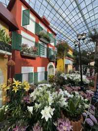 Flower Dome💐🌸🌺🌻