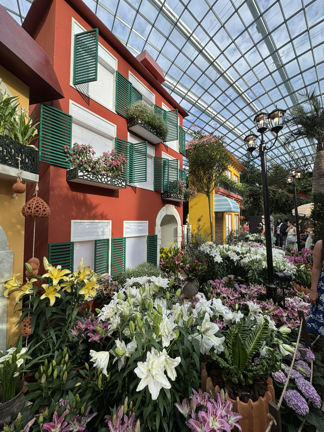 Flower Dome💐🌸🌺🌻