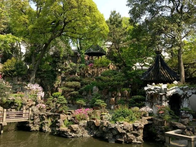 Lost in the Luminous Heart of China: Shanghai!🏙️
