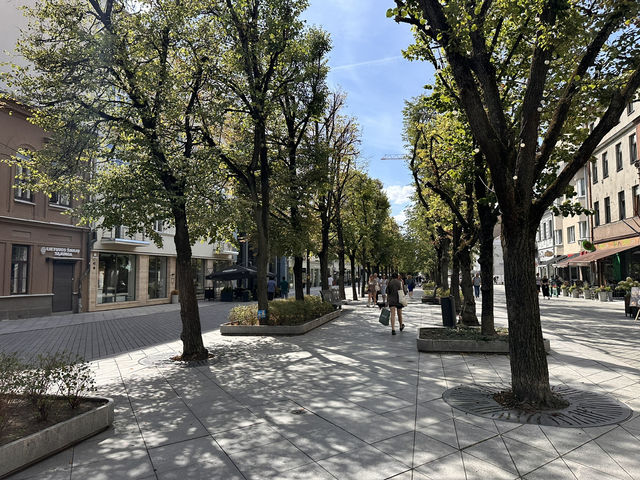 【カウナスの街歩き｜リトアニア第二の都市を散策】