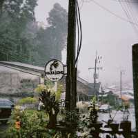 มา | กา | ลอง  คาเฟ่