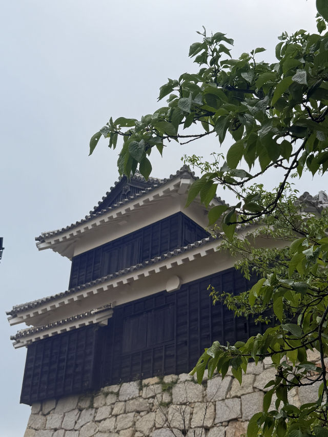 松山｜3個家族4種家徽 多次火災重建的機關巧妙的松山城 