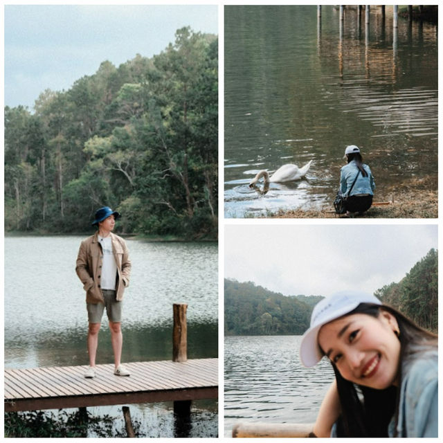 ปางอุ๋ง – เช้านี้มีหมอก สวิตเซอร์แลนด์เมืองไทย