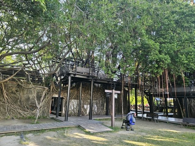 極具歷史價值的台南樹屋