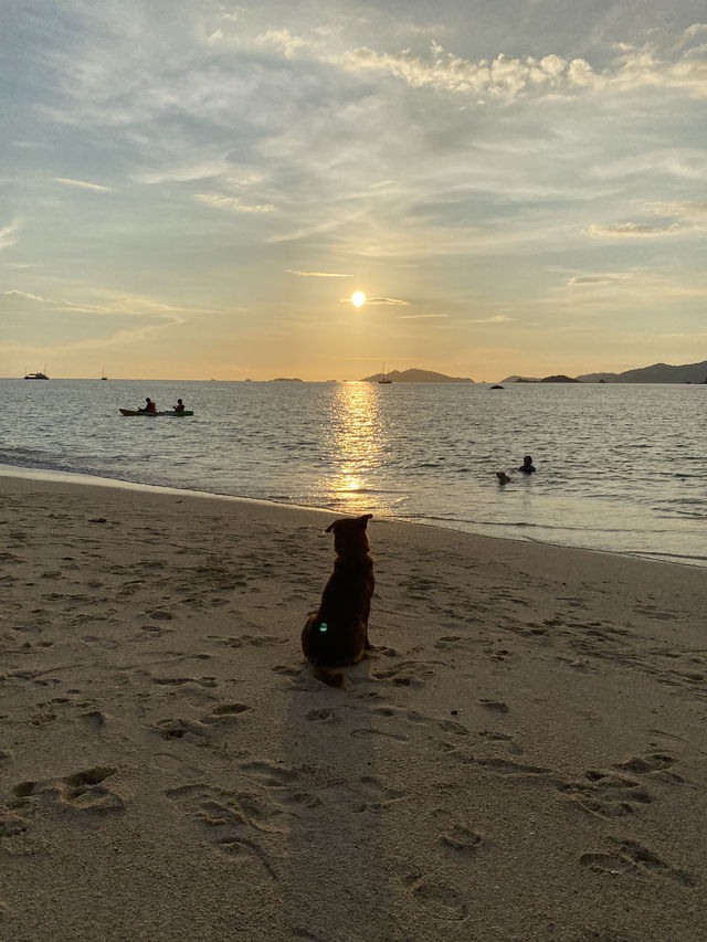 ✨ เกาะหลีเป๊ะ ✨
