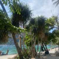 Phiphi island 