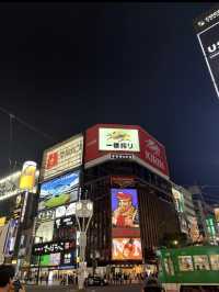 🌆【札幌・すすきの】ネオン煌めく街で味わう、夜のご褒美・海鮮丼体験 