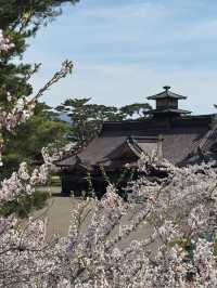 🎯【北海道・五稜郭公園】星型要塞の歴史と桜が彩る、函館の絶景スポット