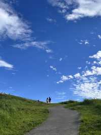 靜岡·大室山｜抹茶布丁、城崎海岸還有你的名字