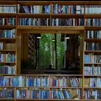 📍 Booktree Library & Café – ป่าคลอก ภูเก็ต