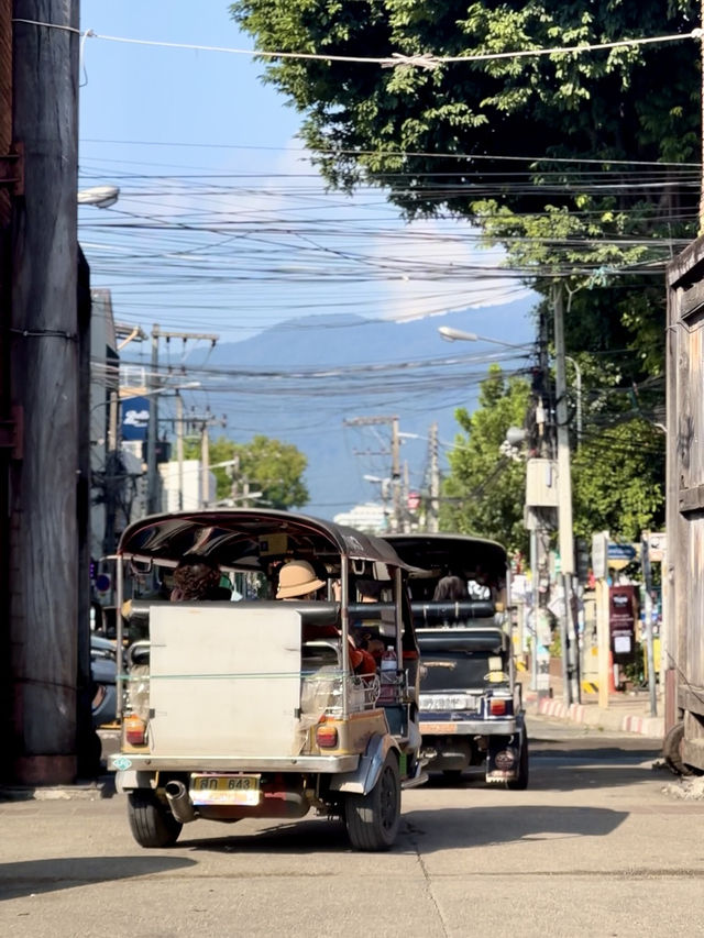 A Whirlwind Day at Tha Phae Gate, Chiang Mai