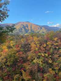 🍁【宮城・鳴子峡】紅葉のトンネルを歩く、秋だけの絶景ハイキング
