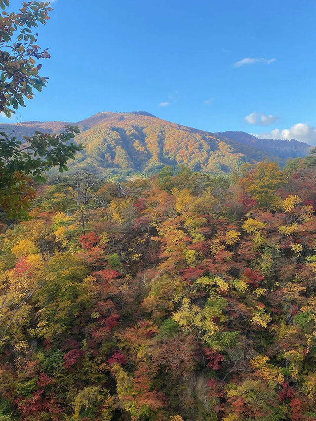 🍁【宮城・鳴子峡】紅葉のトンネルを歩く、秋だけの絶景ハイキング
