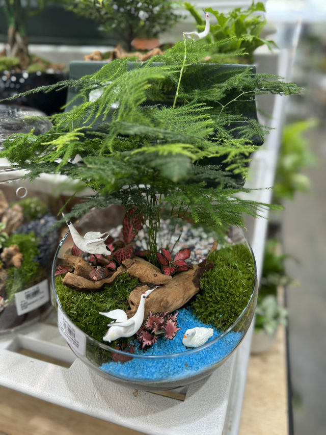 Summer Vibes & Plant Finds 