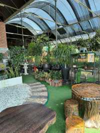 Budget Stroll Among Hanging Gardens and Bonsai