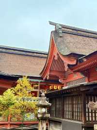 松山｜日本三大八幡造建築 伊佐爾波神社的「必中」傳說