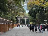 ⛩️ Shrine Among the Trees: Meiji Jingu’s Beauty Meets Tokyo’s Buzz 🌲