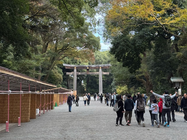 ⛩️ Shrine Among the Trees: Meiji Jingu’s Beauty Meets Tokyo’s Buzz 🌲