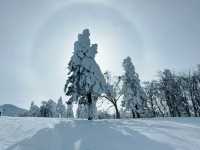 樹冰高原中的滑雪天堂❄️