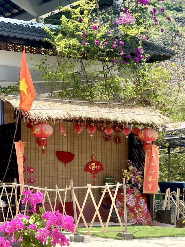 물고기 친구들과 수중 데이트🐠 나트랑 호핑투어 가이드!