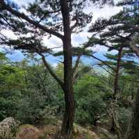 Hidden Gem Feels, Gongjak Mountain 