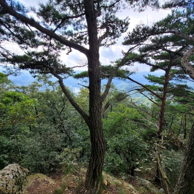 Hidden Gem Feels, Gongjak Mountain 