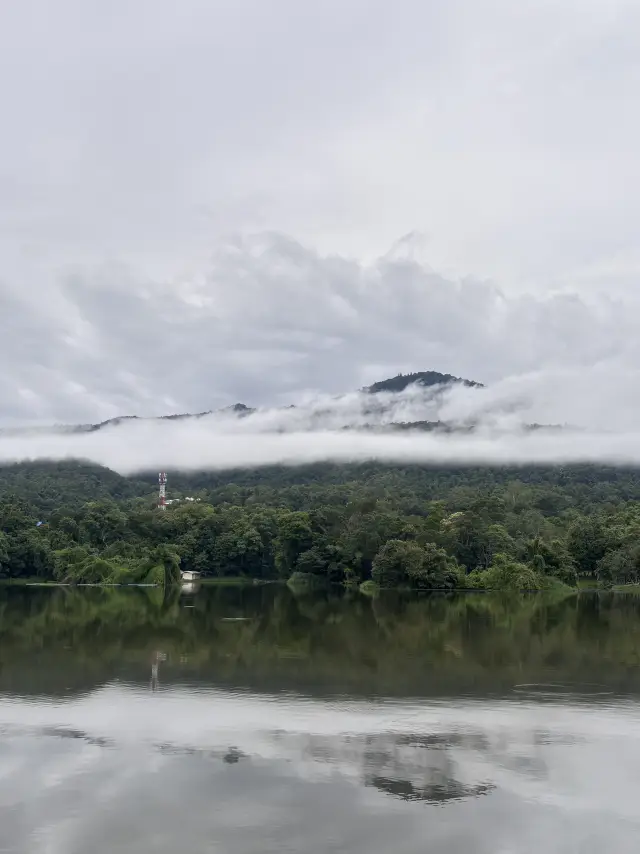 Travel to Chiang Mai and immerse yourself in the natural atmosphere