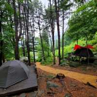Forest Feels & Quiet Trails, Chukryeongsan Escape