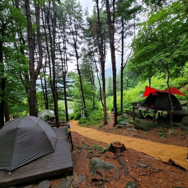Forest Feels & Quiet Trails, Chukryeongsan Escape