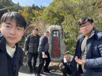 別府地獄：熱氣蒸騰的奇幻漫遊