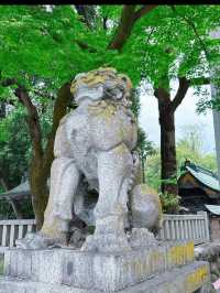 雲海と神秘に包まれる「三峯神社」で、心を整える山旅
