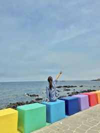 제주 공항 근처 여행코스 3곳 이렇게만 가면 성공 🌊