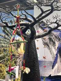 島嶼之國的野性魅力🌴🐒｜馬達加斯加館