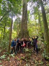 เขาหลวงนคร เนินลมฝน - หนานระฟ้า 1,600 m