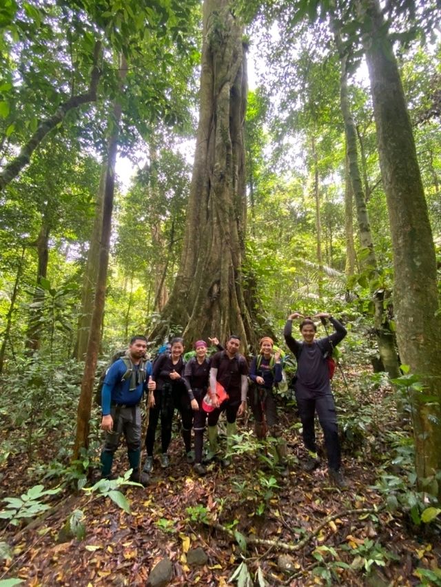 เขาหลวงนคร เนินลมฝน - หนานระฟ้า 1,600 m