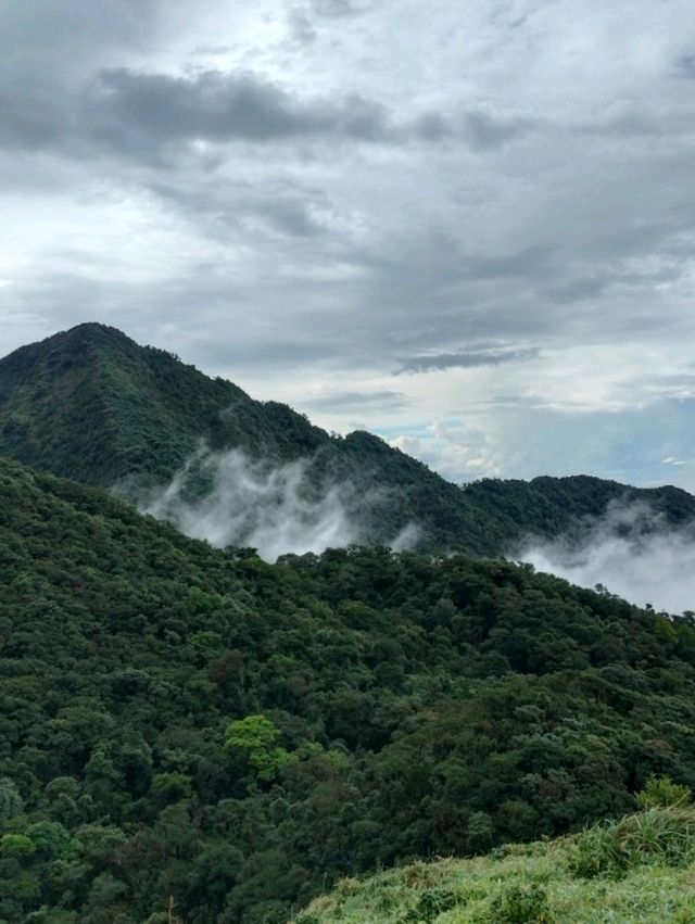 เขาหลวงนคร เนินลมฝน - หนานระฟ้า 1,600 m