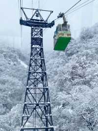 🚡空と海をつなぐ絶景旅「弥彦山ロープウェイ」で五感が満たされるひととき