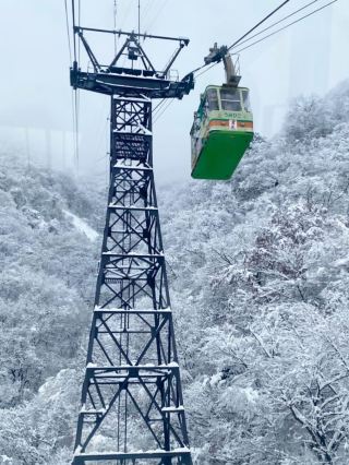 🚡Enjoy a spectacular journey that connects the sky and the sea on the "Yahiko Mountain Ropeway" and satisfy your five senses