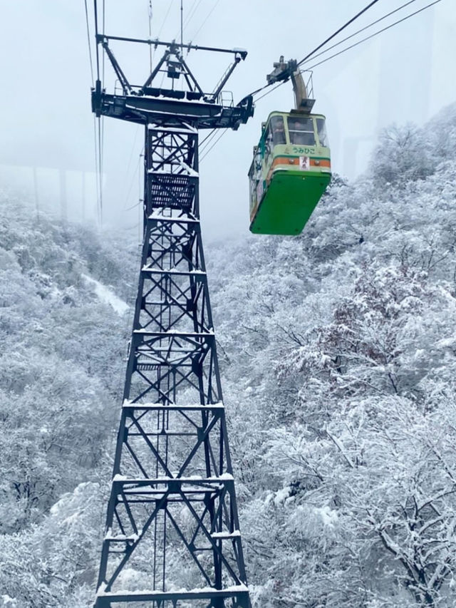 🚡空と海をつなぐ絶景旅「弥彦山ロープウェイ」で五感が満たされるひととき