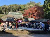 Spiritual Majesty at Kirishima Jingu 🌿