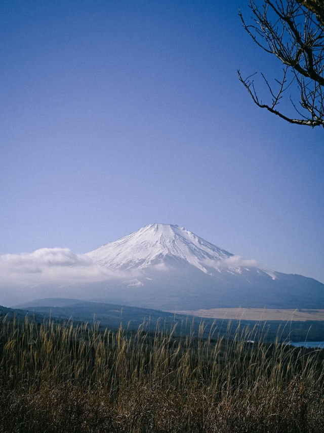【富士五湖で絶景と癒しの湖旅】富士山を望む五つの宝石🌄💎