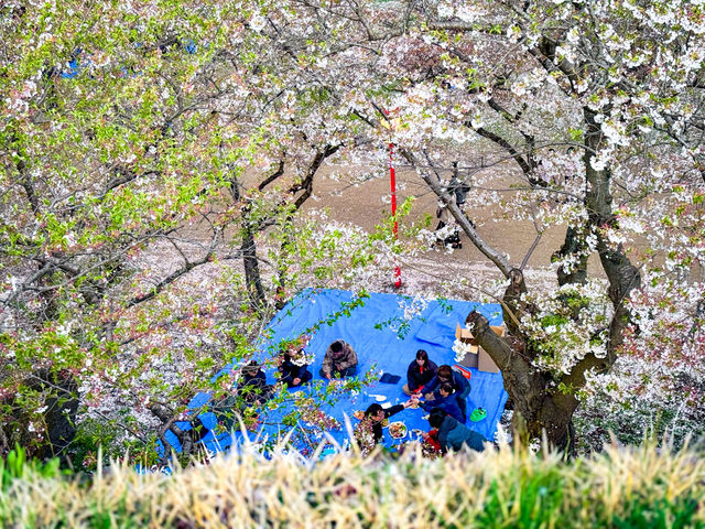เมืองโมริโอกะ (Morioka / 盛岡市) จังหวัดอิวาเตะ